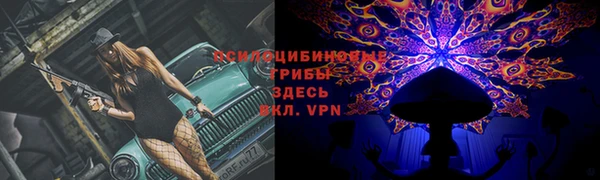 a pvp Баксан