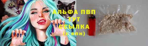 Альфа ПВП Беломорск