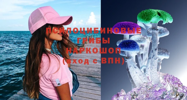 Альфа ПВП Беломорск