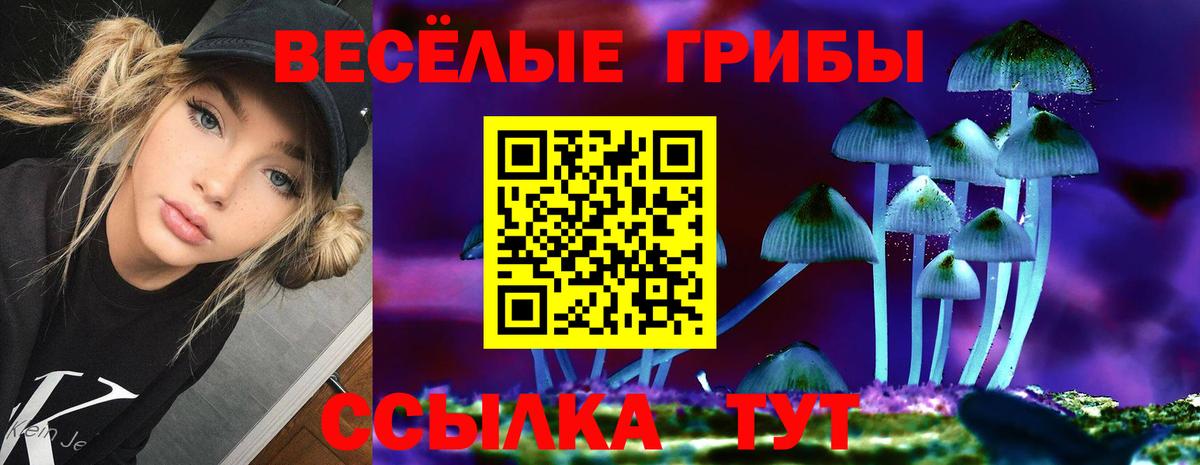 Сердобск  Галлюциногенные грибы Magic Shrooms  Псилоцибиновые грибы MAGIC MUSHROOMS  Вход с VPN 