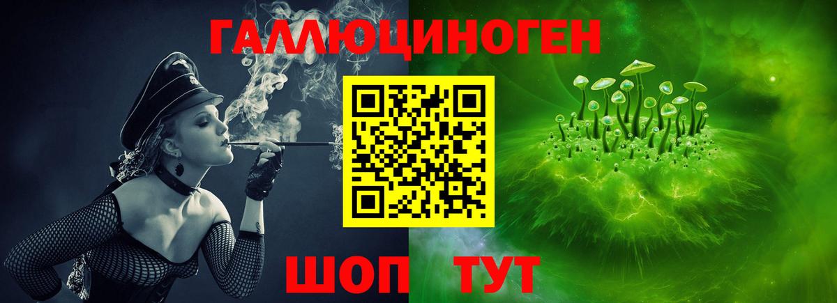 Псилоцибиновые грибы GOLDEN TEACHER Сердобск